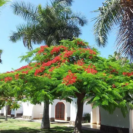 Parque Golf Maspalomas Appartamento *